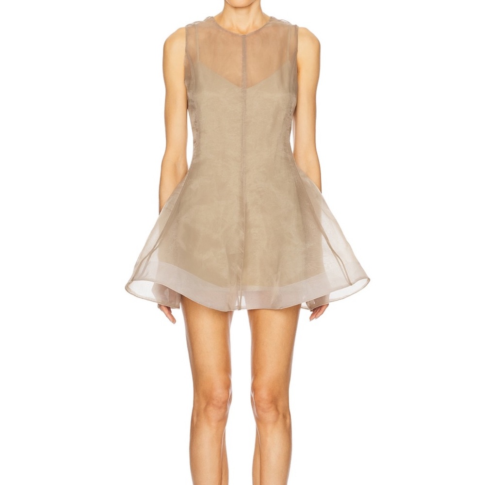 L'Academie Sheer Taupe Fit-and-Flare Mini Dress